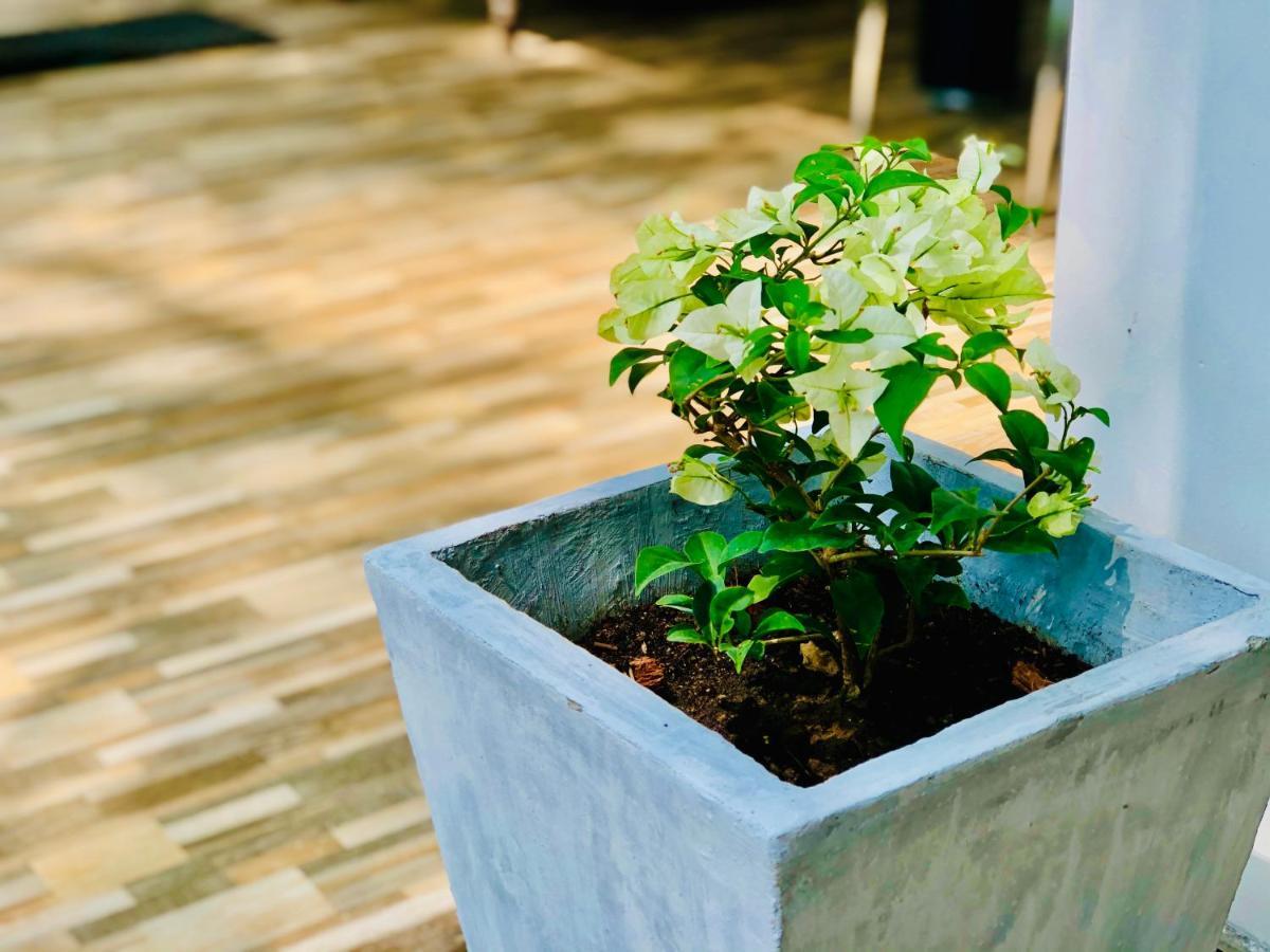 Siri'S Residency Διαμέρισμα Habaraduwa Central Εξωτερικό φωτογραφία